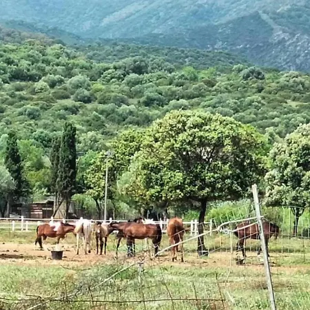 Lugore Πανσιόν 3*